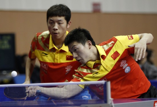 TE策略普 TE策略普